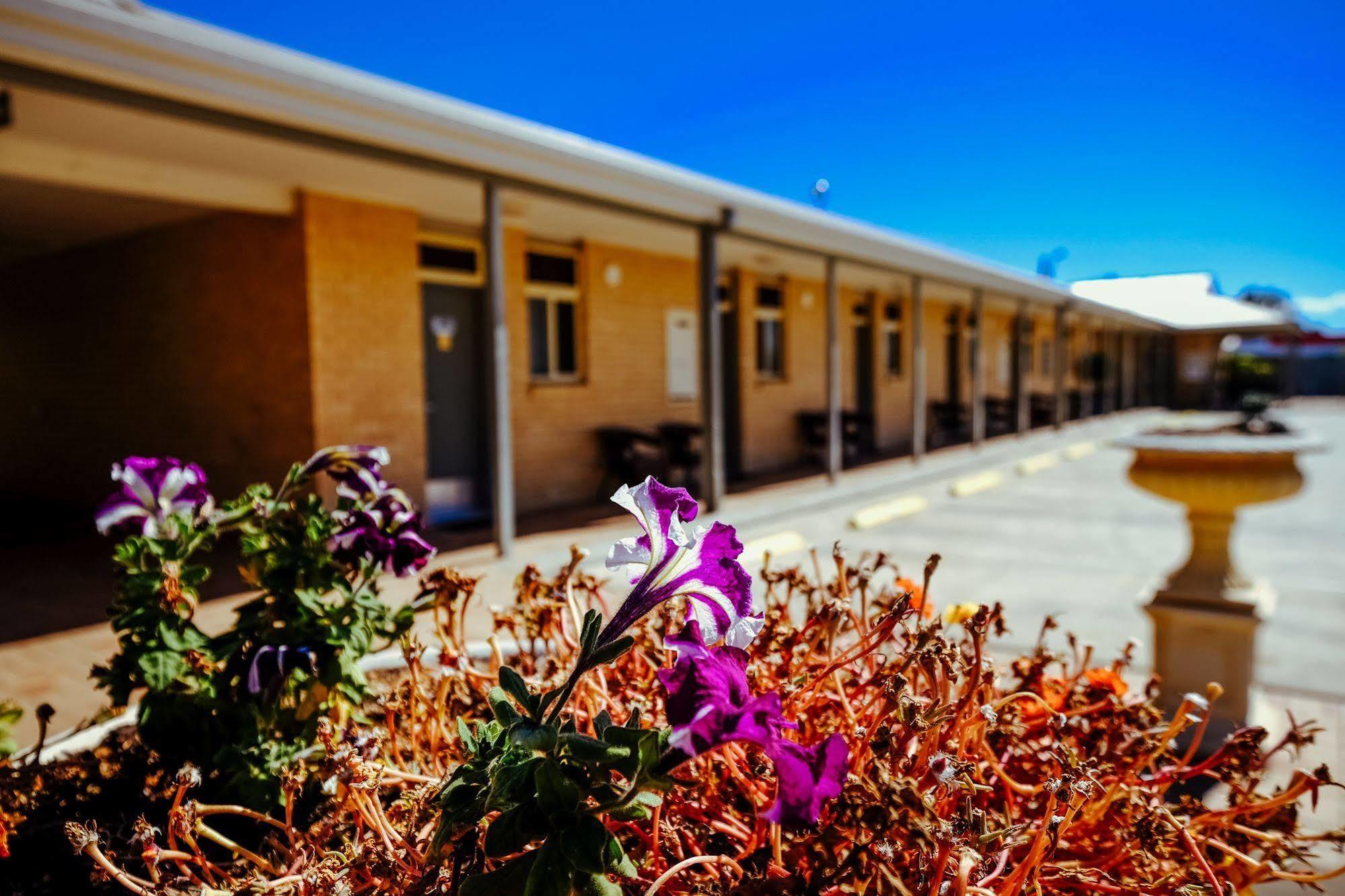 Club Motor Inn Narrabri Zewnętrze zdjęcie